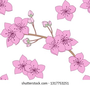 Cherry Blossom Seamless Pattern