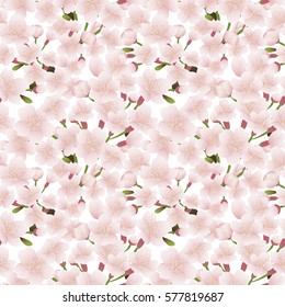 Cherry blossom seamless pattern