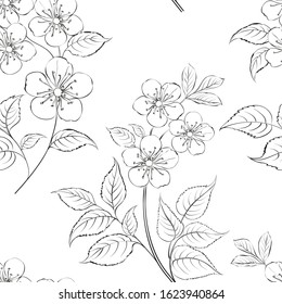 Cherry blossom seamless pattern. Hand drawn spring blossom trees. Floral pattern for wedding invitations, greeting cards, scrapbooking, print, fabric, gift wrap, manufacturing. Vector illustration.