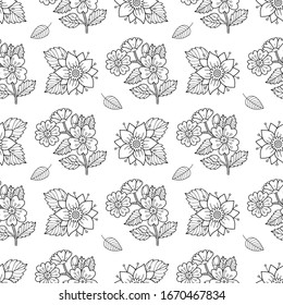 Cherry blossom seamless vector pattern