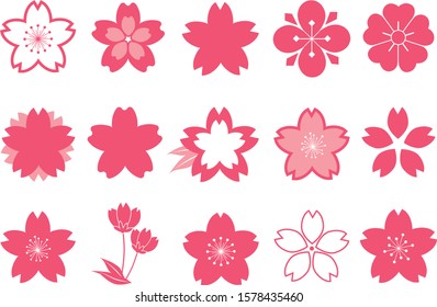 Cherry blossom. Set of flowers. Vector