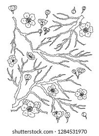 Cherry blossom set illustration for coloring book and printing isolate on white background.