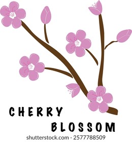 Cherry Blossom - A single branch of cherry (sakura) tree. Lets have a spring in our life.