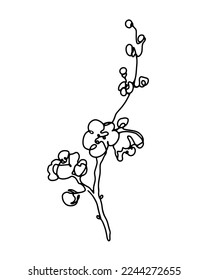 Cherry blossom single line art, sprimg blooming sakura branch hand drawn monochrome vector illustration