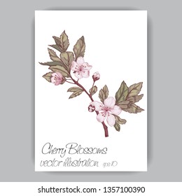 cherry blossom sprig hand-drawn in pink, brown, green colors