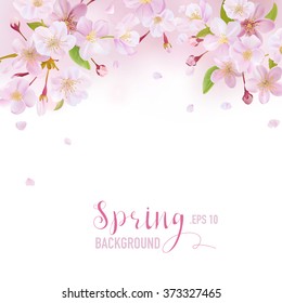 Cherry Blossom Spring Background - with place for your Text - in vector