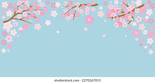 Kirschblüte Frühlingshintergrund mit Platz für Text. Vektorgrafik.