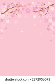 Cherry blossom spring background with space for text. Vector illustration.