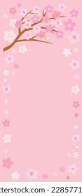 Cherry blossom spring background with space for text. Vector illustration.