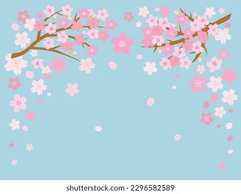 Kirschblüte Frühlingshintergrund mit Platz für Text. Vektorgrafik.