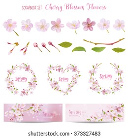 Cherry Blossom Spring Background - in vector