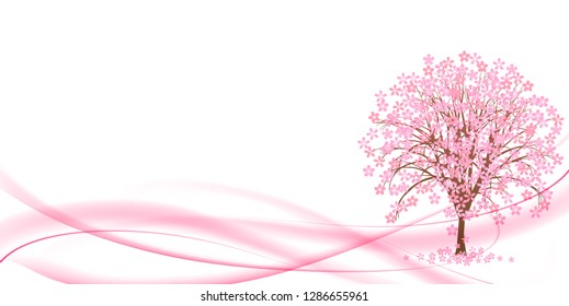 Cherry Blossom spring flower background