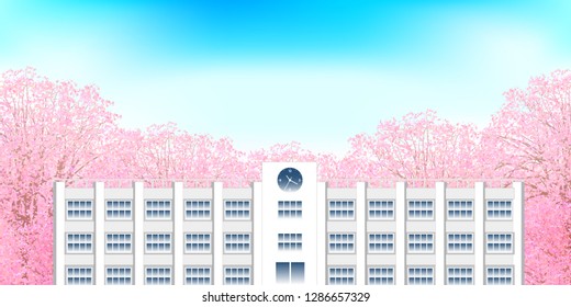 Cherry Blossom spring flower background