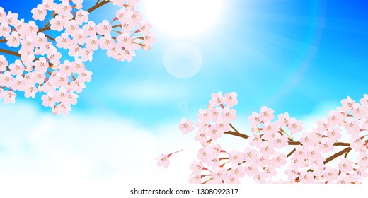 Cherry Blossom spring flower background