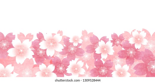 Cherry Blossom spring flower background