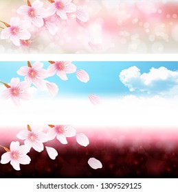 Cherry Blossom spring flower background