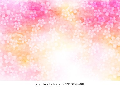 Cherry Blossom spring flower background