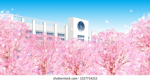 Cherry Blossom spring flower background