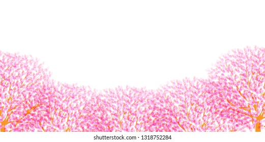 Cherry Blossom spring flower background