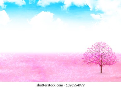Cherry Blossom spring flower background