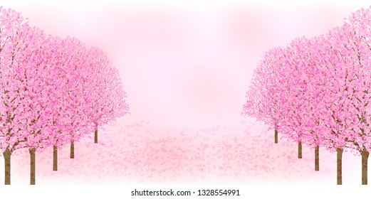Cherry Blossom spring flower background