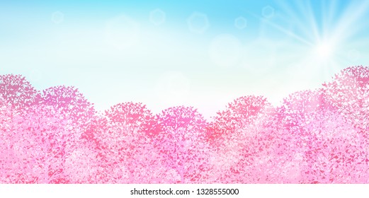 Cherry Blossom spring flower background