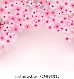 Cherry blossom spring flower background