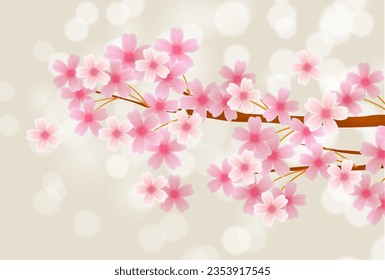 fondo de flores de primavera de cerezo