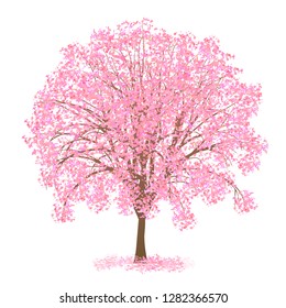 Cherry Blossom Spring Flower Icon