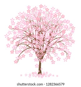 Cherry Blossom Spring Flower Icon