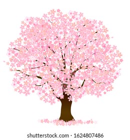 Cherry blossom Spring flower icon