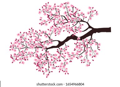 Cherry blossom Spring flower icon