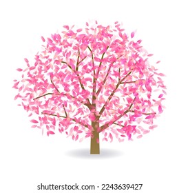 Icono de flor de primavera de cerezo