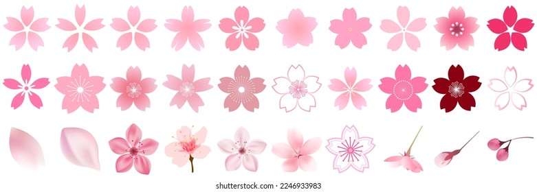 Cherry blossom spring flower icon