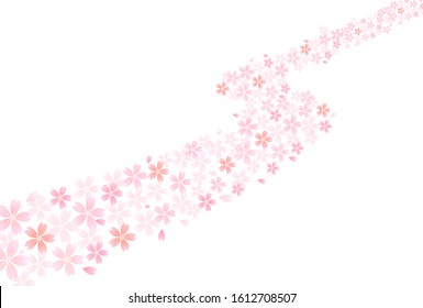 Cherry blossom Spring flowers background