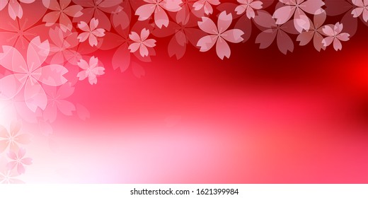 Cherry blossom Spring flowers background