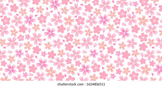 Cherry blossom Spring flowers background
