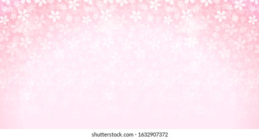 Cherry blossom Spring flowers background