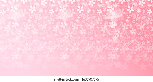 Cherry blossom Spring flowers background