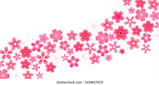 Cherry blossom Spring flowers background
