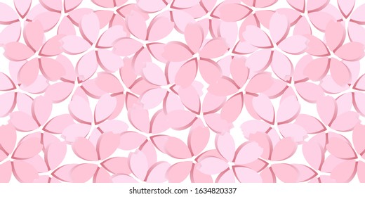 Cherry blossom Spring flowers background