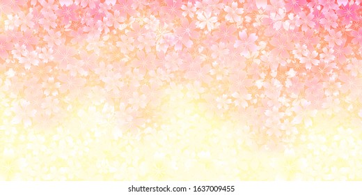 Cherry blossom Spring flowers background