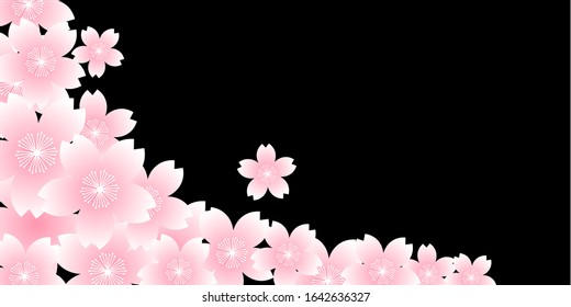 Cherry blossom Spring flowers background