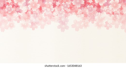 Cherry blossom Spring flowers background