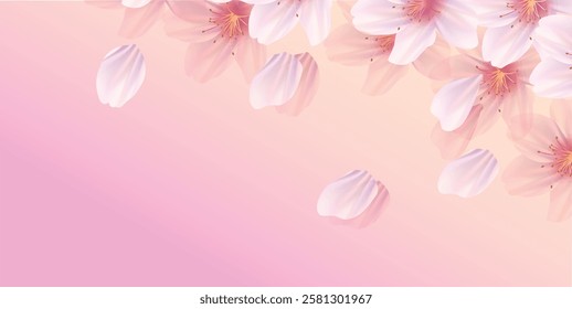 cherry blossom spring Japanese paper background