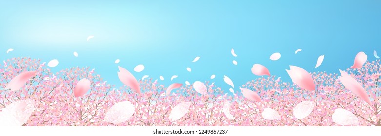 Cherry blossom spring landscape background