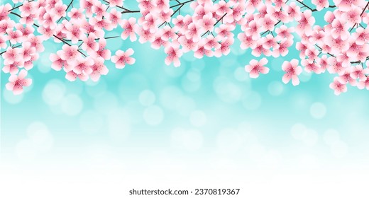 cherry blossom spring watercolor background