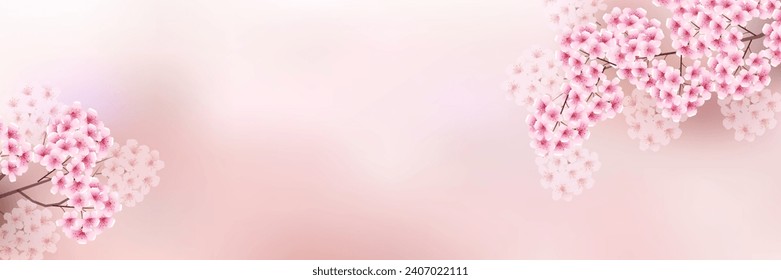cherry blossom spring watercolor background