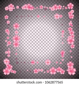 Cherry blossom square frame or border on transparent backdrop