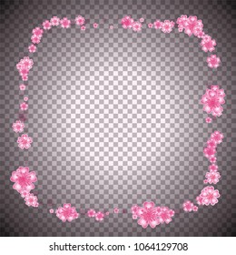 Cherry blossom square frame or border on transparent backdrop